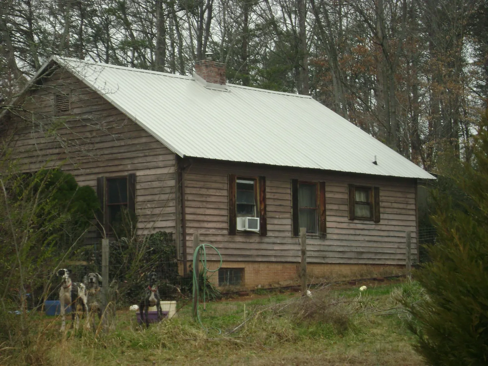 White metal roof on an old wood sided farmhouse, from a Asphalt Shingle Roof Repair job in Milroy